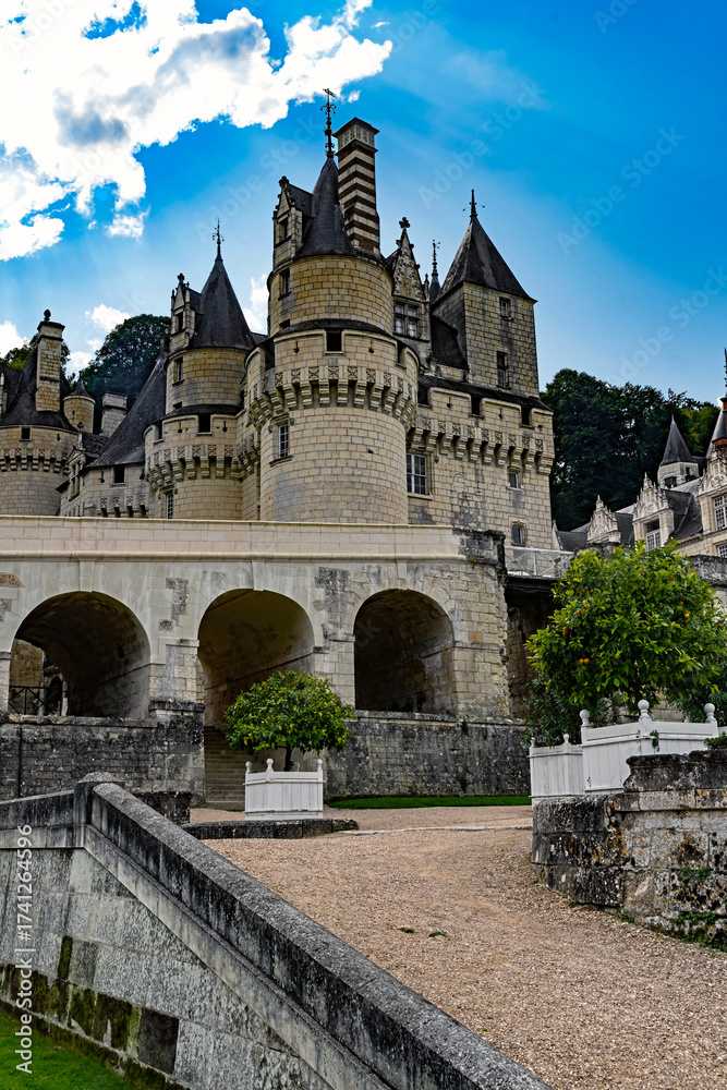 Obraz premium Castle Usse also known as castle of sleeping beauty, XV century. River Loire valley, France 