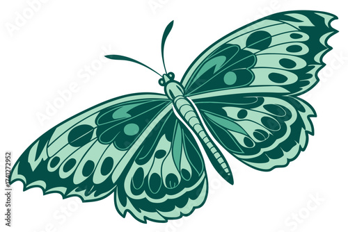 butterfly on a white background