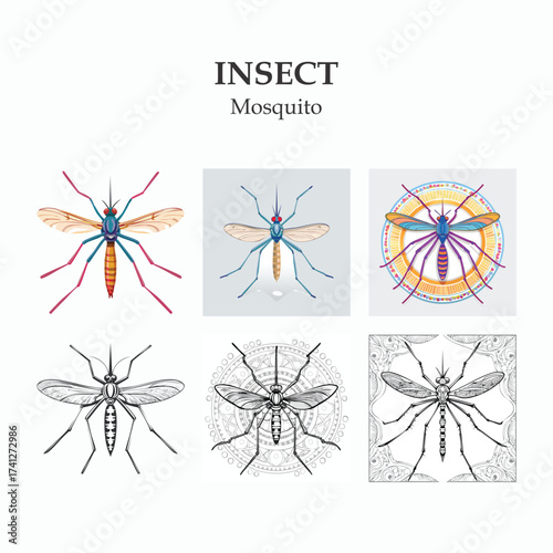 Mosquito Illustration Set Detailed and Decorative Vector Graphics of Mosquitoes
