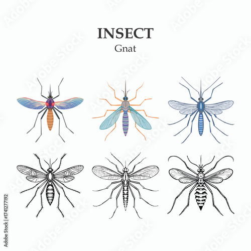 Diverse Gnat Insect Illustration Set with Vector Options