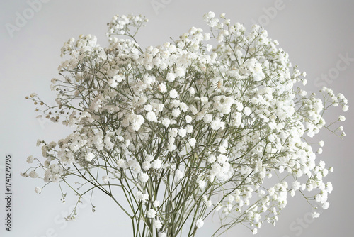 Delicate white baby's breath flowers creating a soft, airy natural bouquet against a clean background.
