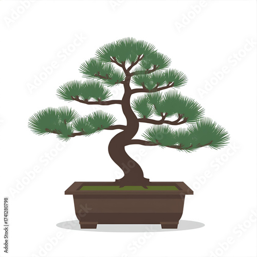 Artfully sculpted pine bonsai tree in a dark rectangular pot, symbolizing tranquility and nature's beauty.