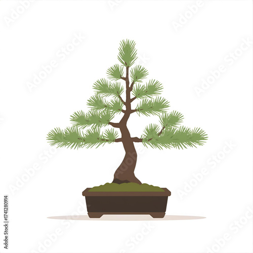 Delicate bonsai tree in a simple pot, a symbol of patience and natural beauty.