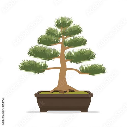 Artistically shaped evergreen bonsai tree in a square pot, symbolizing nature and tranquility.