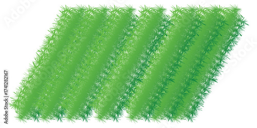 Stylized parallelogram of vibrant green mown grass with a striped pattern and textured edges.