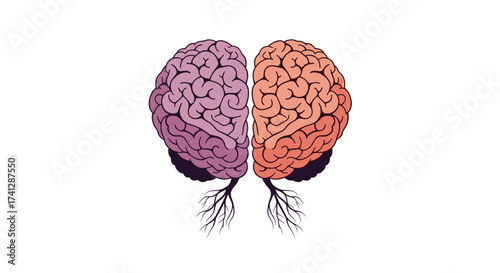 Understanding the human brain's left and right hemispheres and their distinct cognitive functions.