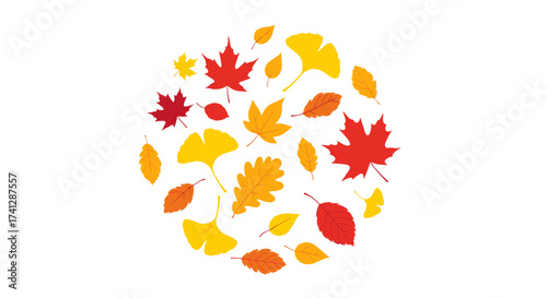 A collection of autumn leaves in various shapes and colors forming a circle.