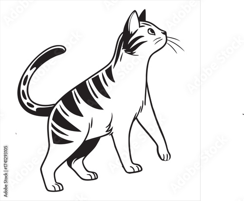 Cat Vector 