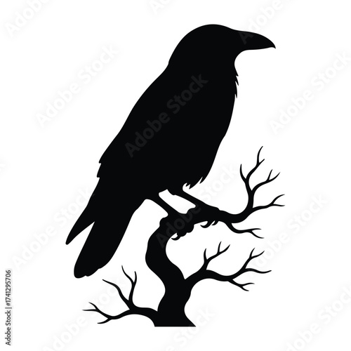 Silhouette of a crow perched on a stark tree branch