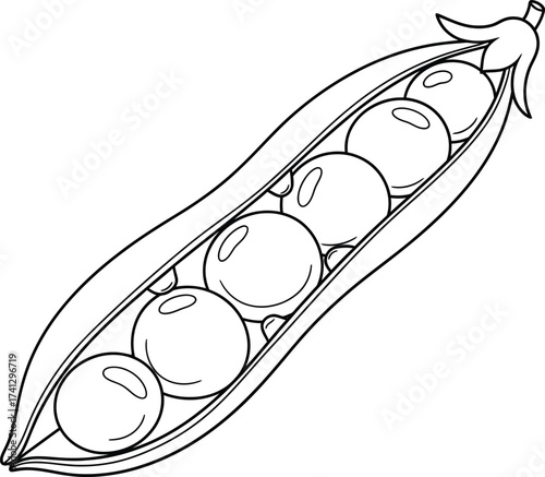 A detailed line art illustration of an open pea pod with six individual peas, perfect for coloring books and educational content.