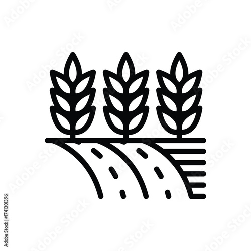 A simplified drawing of wheat crops in a field presented in black lines 