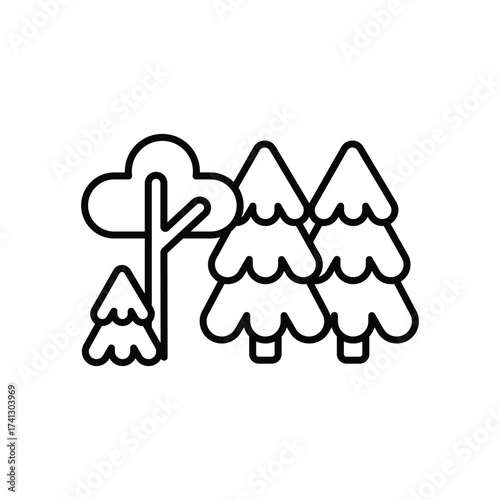 Black line drawing of a grove of trees including deciduous and coniferous types