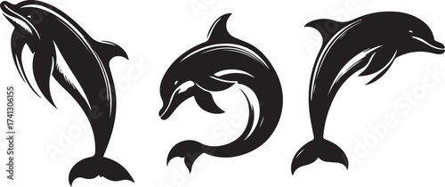 silhouette of a dolphin