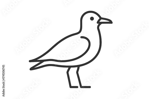 Seagull line icon. Stylized sea bird vector illustration. Simple linear animal symbol for logo or pictogram. Minimalist marine wildlife graphic element. Coastal nature concept.