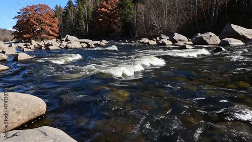 Fast flowing autumn river curving through forest with Norway maple and pin oak trees along rocky banks