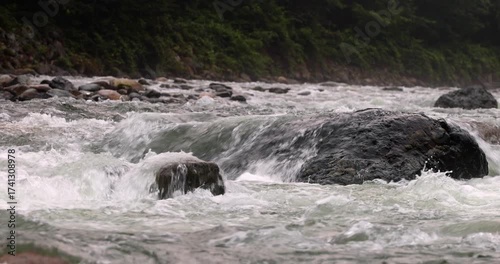 8K horizontal macro view of Fırtına River rapids crashing over rocks. The dynamic water movement shows the raw power and rhythm of untouched Turkish nature