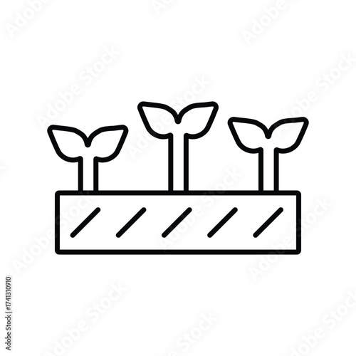 Three sprouts grow from a rectangular planter box with soil indicated by diagonal lines