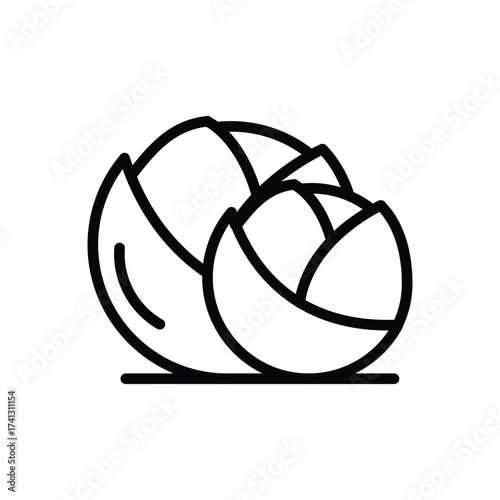 Two cabbages with defined outlines rest on a horizontal line