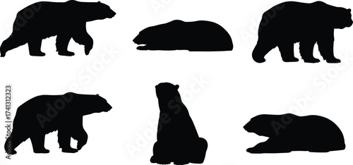 Bear walking and sitting vector silhouettes sequence showing different poses for wildlife cartoon nature content in animal illustration style