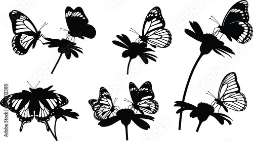 Butterfly silhouette vector set perched on flowers with detailed wings, nature pollination theme for wildlife, garden, insect and floral design
