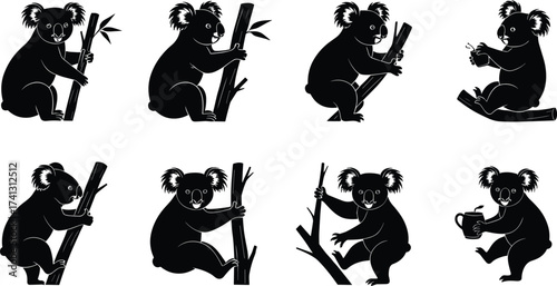 Koala bear climbing and sitting vector silhouettes showing cartoon marsupial eating leaves and drinking from mug in Australian wildlife scene