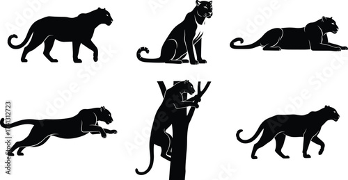Set of black panther silhouettes in various poses including walking, climbing, leaping, sitting, lying down, vector animal illustration pack