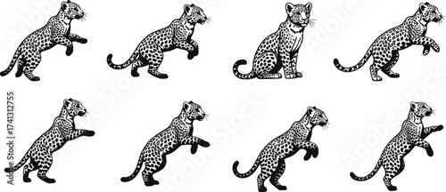 vector set of horses