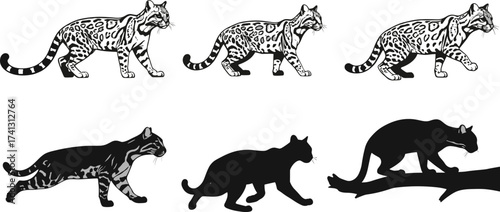 Set of ocelot illustrations in realistic and abstract styles including walking, silhouette, tree pose, and artistic feline representations