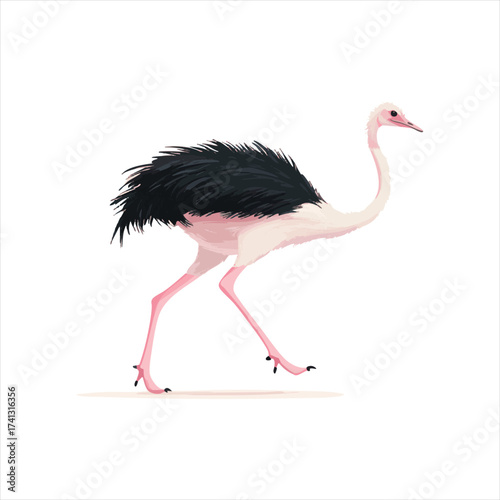 Ostrich in Motion