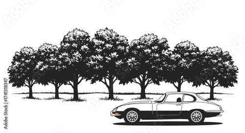 Classic Car Silhouette with Trees in the Background.