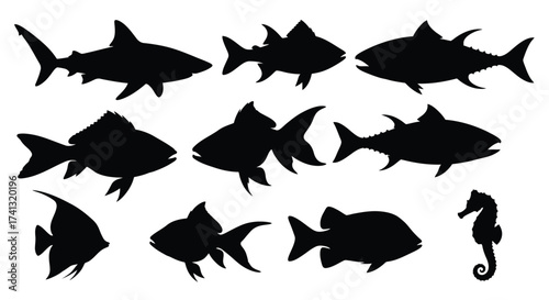 Black fish and seahorse silhouettes shark