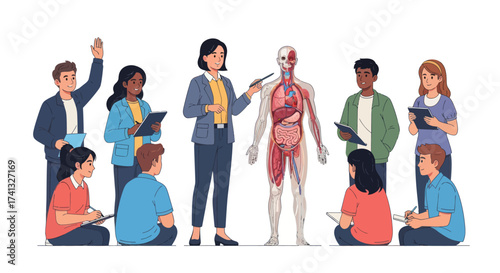 Diverse Students Learning Human Anatomy with Teacher and Model.