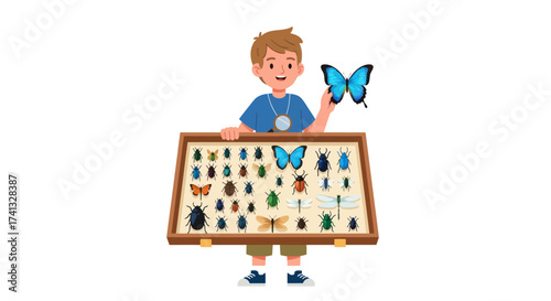 Young Boy Displaying Butterfly Collection in Wooden Display Case.