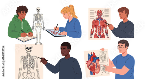 A collection of diverse students and teachers studying human anatomy with skeletons diagrams and models.