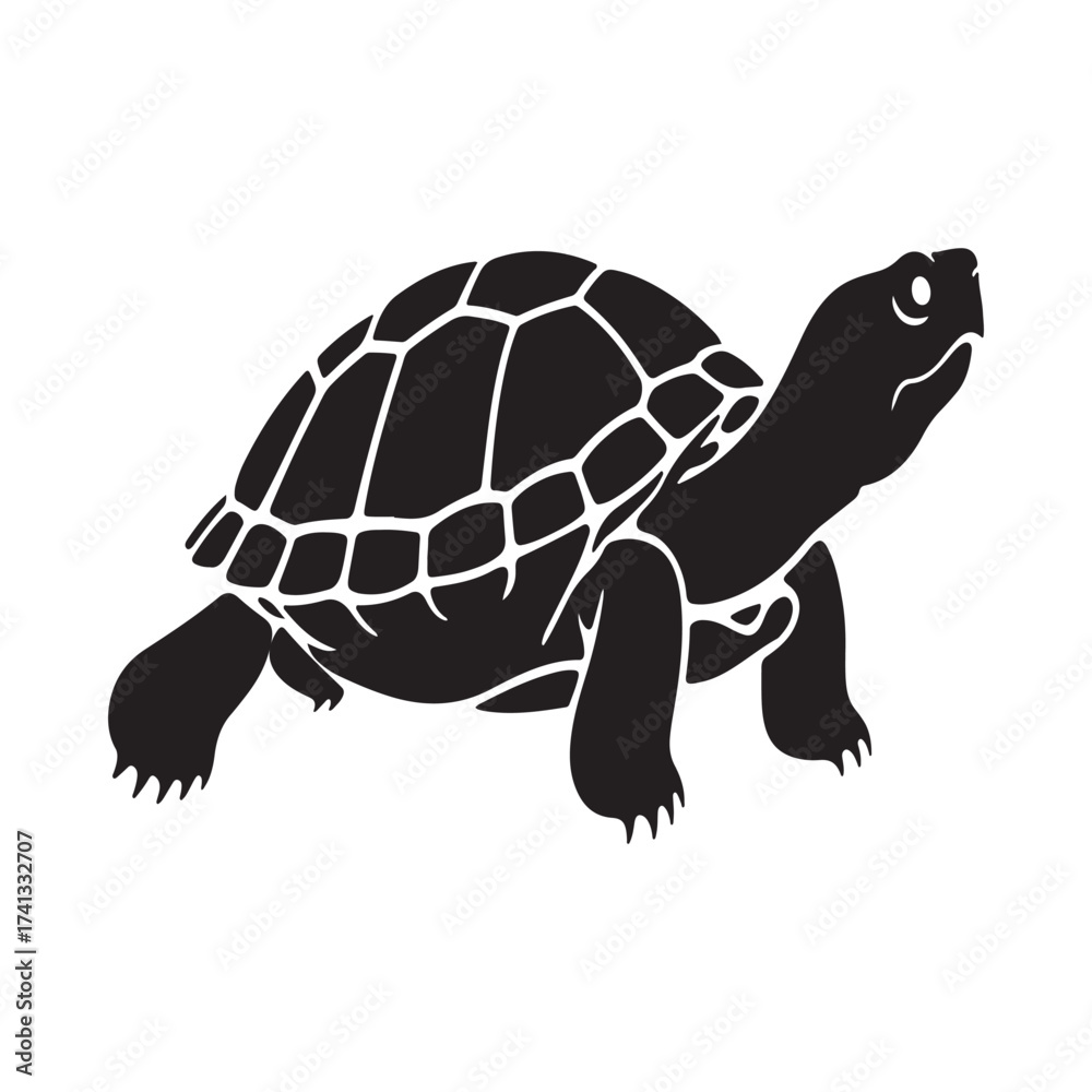 Fototapeta premium Silhouette of a Tortoise Walking with Detailed Shell Pattern