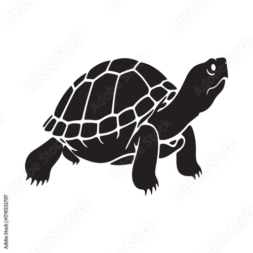 Silhouette of a Tortoise Walking with Detailed Shell Pattern