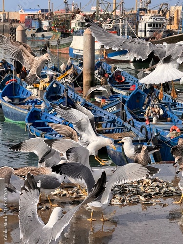 A flock of seagulls has arrived at the marina and is eating fish. Boats are docked in the port.