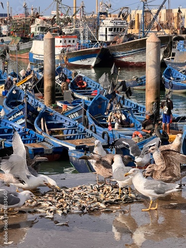 boats in the harbor