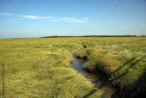 Salzwiese bei Sankt Peter Ording