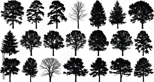 Tree silhouette collection, natural forest vector set, different tree shapes isolated, black tree illustration, landscape design elements, botanical nature graphic design