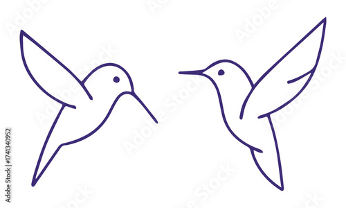 Humming bird line icon. Humming bird vector illustration. Hummingbird logo vector icon . Hummingbird silhouette vector.