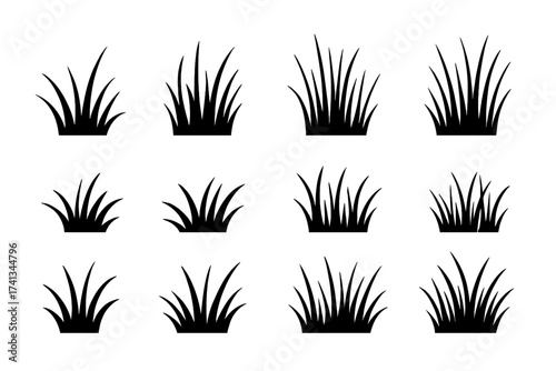 Grass silhouettes set. Vector illustration collection of black grass tufts. Isolated on transparent background. Nature plant lawn icon for spring or summer design element.
