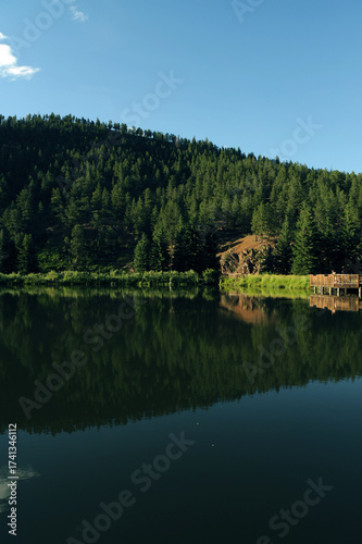 Serene mountain lake with dense evergreen forest and clear blue sky reflecting tranquil nature scene perfect for travel and outdoor themes