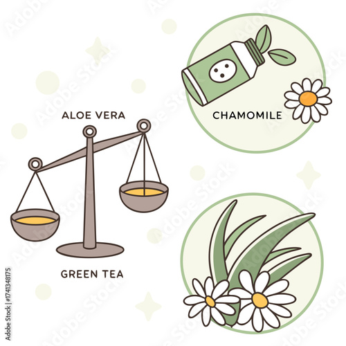 Illustration of aloe vera and green tea on a balance scale next to chamomile and daisy flowers in circles with a light background