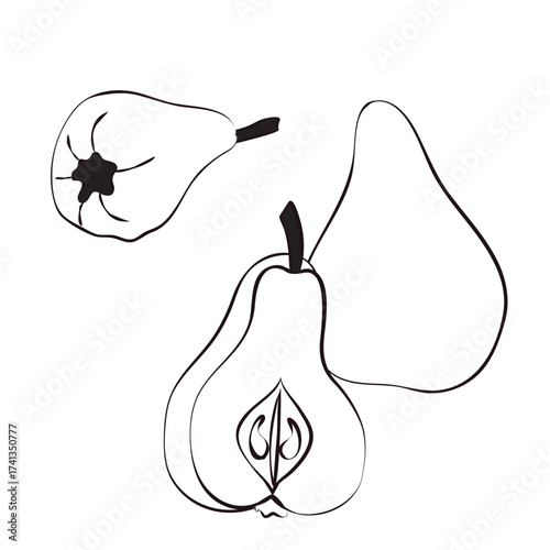 Pears in doodle style. Compositions of ripe fruits. Vector illustration isolated on white background.