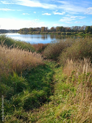 lake in the forest