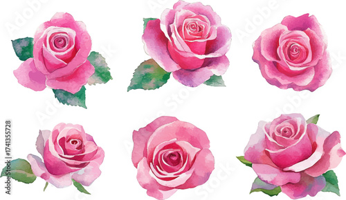 bouquet of roses