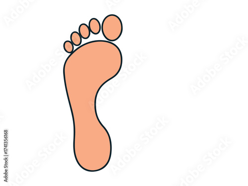 International Podiatry Day vector illustration set featuring healthy feet, podiatrist tools, foot care icons, bandaged foot, foot anatomy, and wellness symbols in flat design.