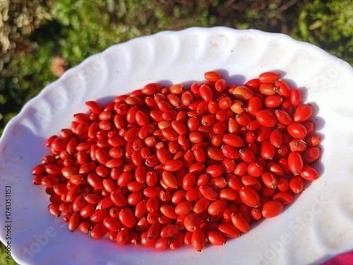 red currant berries