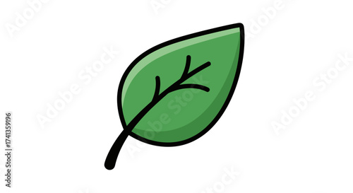 A vibrant green leaf with a prominent central vein and stem.